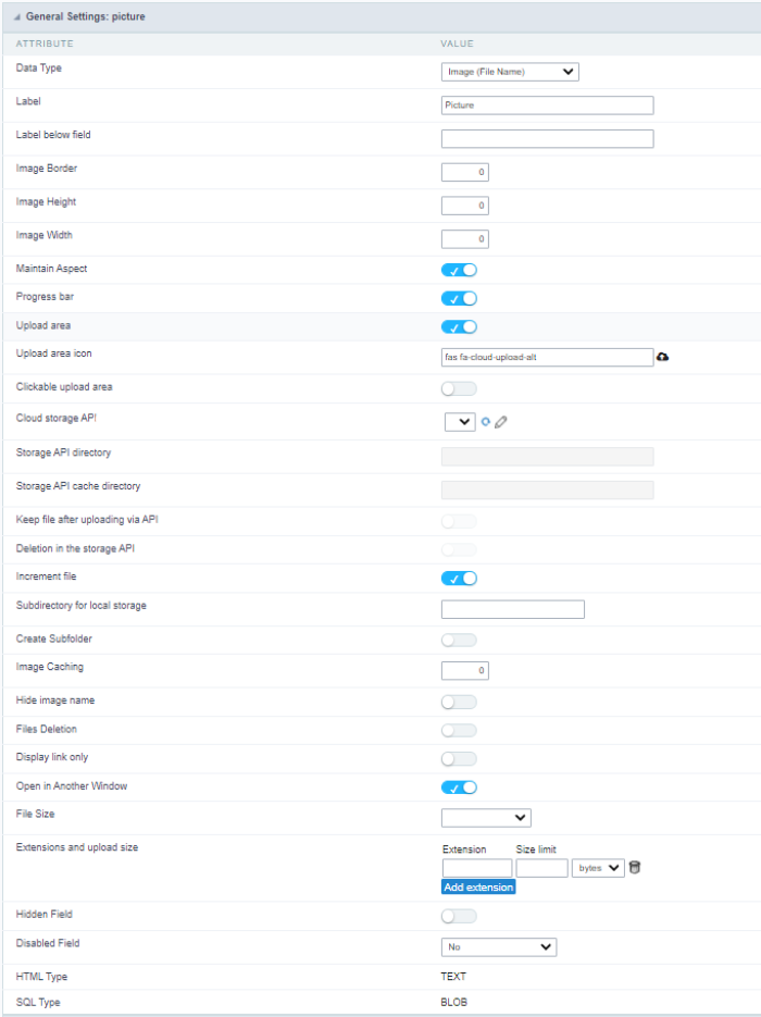 Image (File Name) field Configuration Interface.