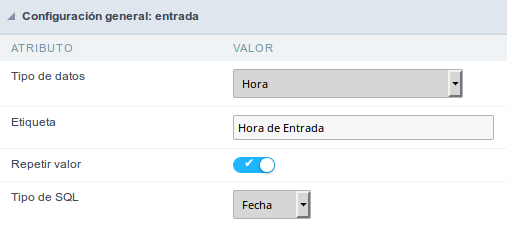 Time field Configuration Interface.