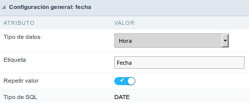 Time field Configuration Interface.