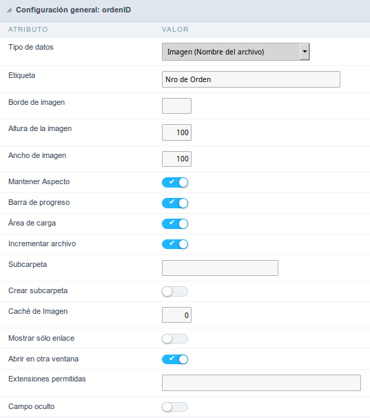 Image (File Name) field Configuration Interface.