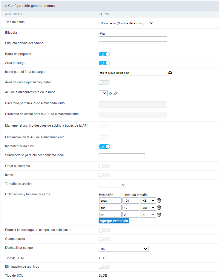 Document (File Name) field Configuration Interface.