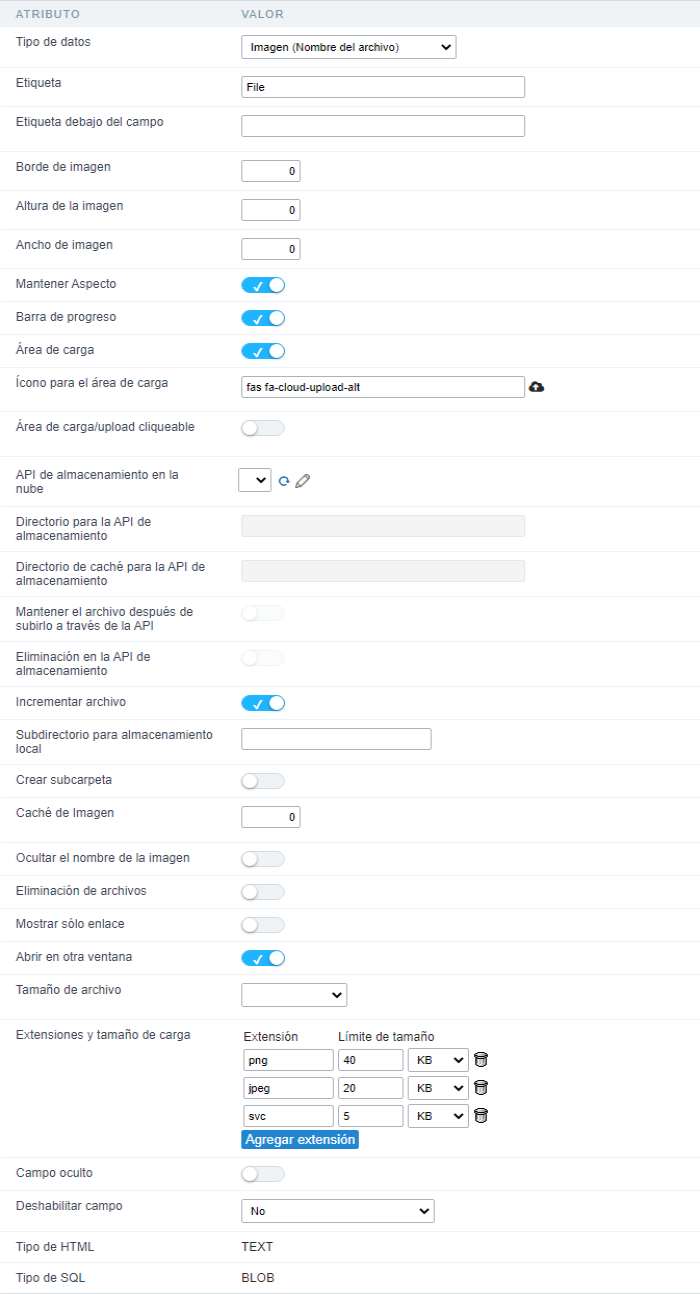 Image (File Name) field Configuration Interface.