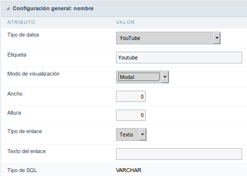 YouTube field Configuration Interface.