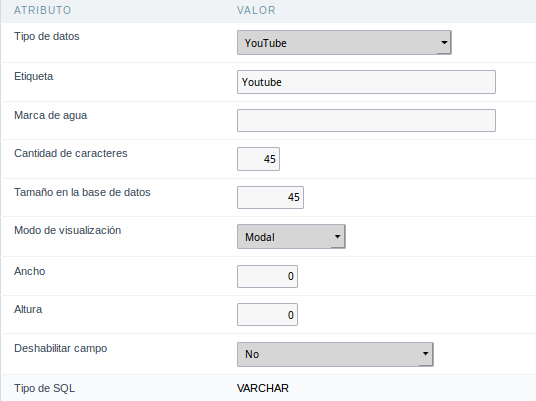 YouTube field Configuration Interface.