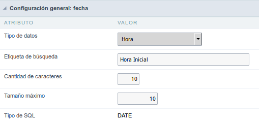 Time field Configuration Interface.