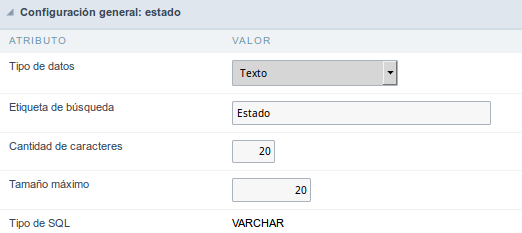 Text field configuration Interface.