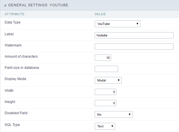 YouTube field Configuration Interface.