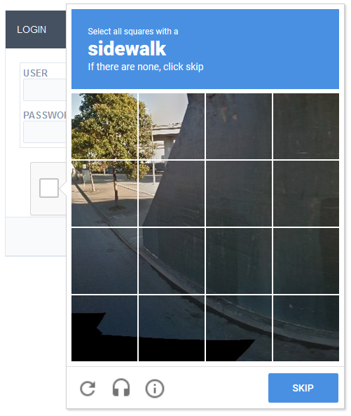 reCAPTCHA type image